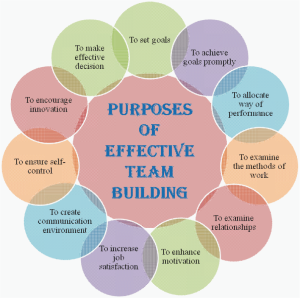 Effective Team Building Strategies - Hassa Photo